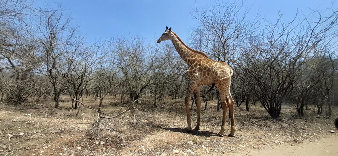 Kruger Riverside Lodge - No Load-Shedding Marloth Park Dış mekan fotoğraf