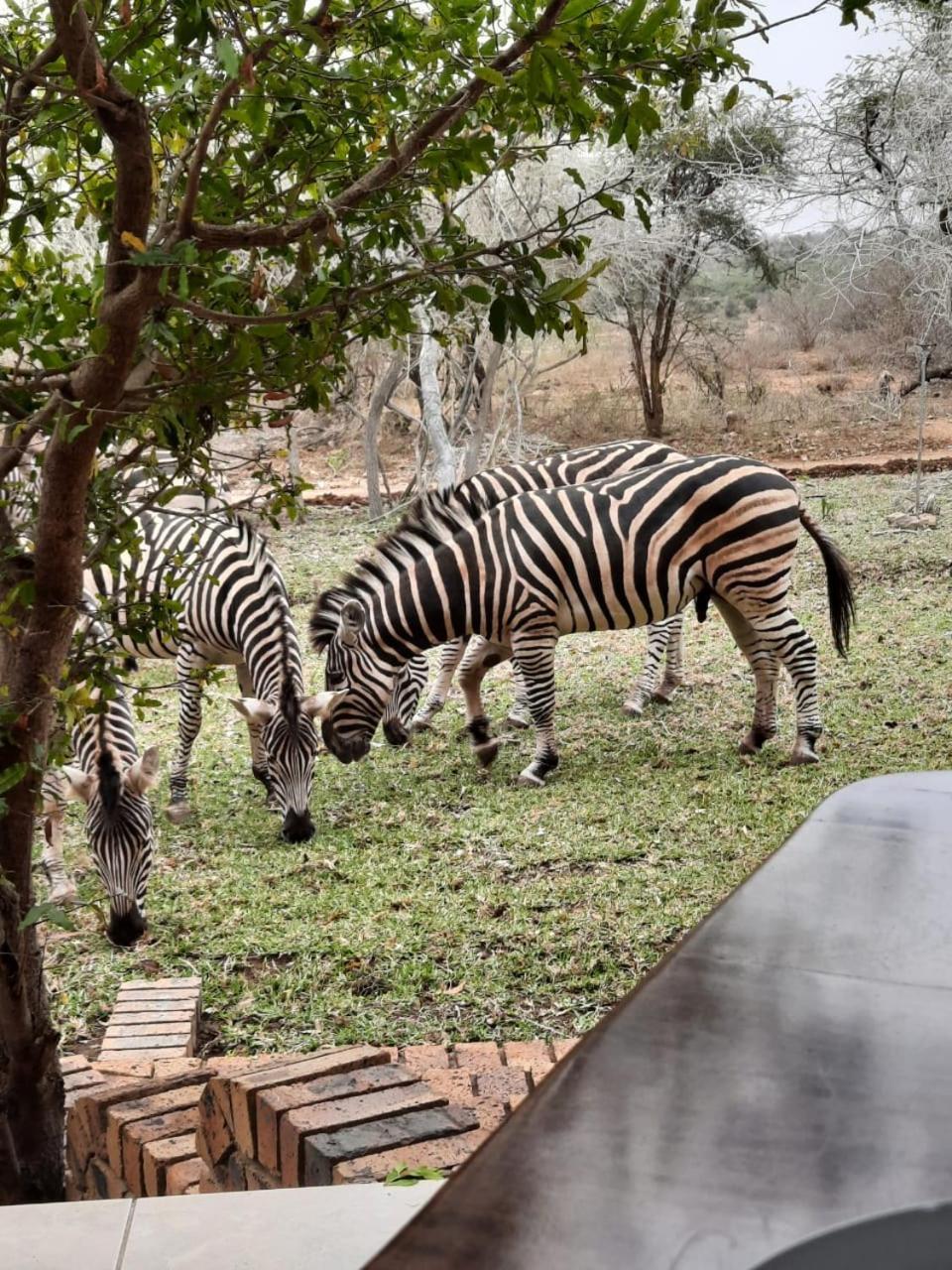 Kruger Riverside Lodge - No Load-Shedding Marloth Park Dış mekan fotoğraf