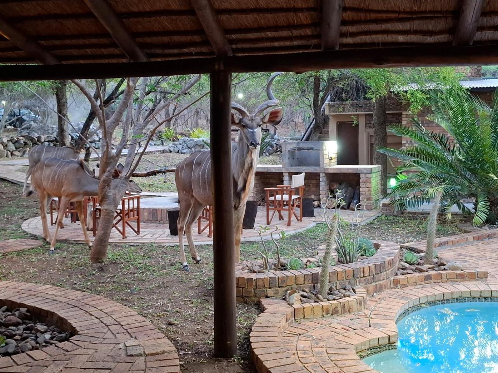 Kruger Riverside Lodge - No Load-Shedding Marloth Park Dış mekan fotoğraf