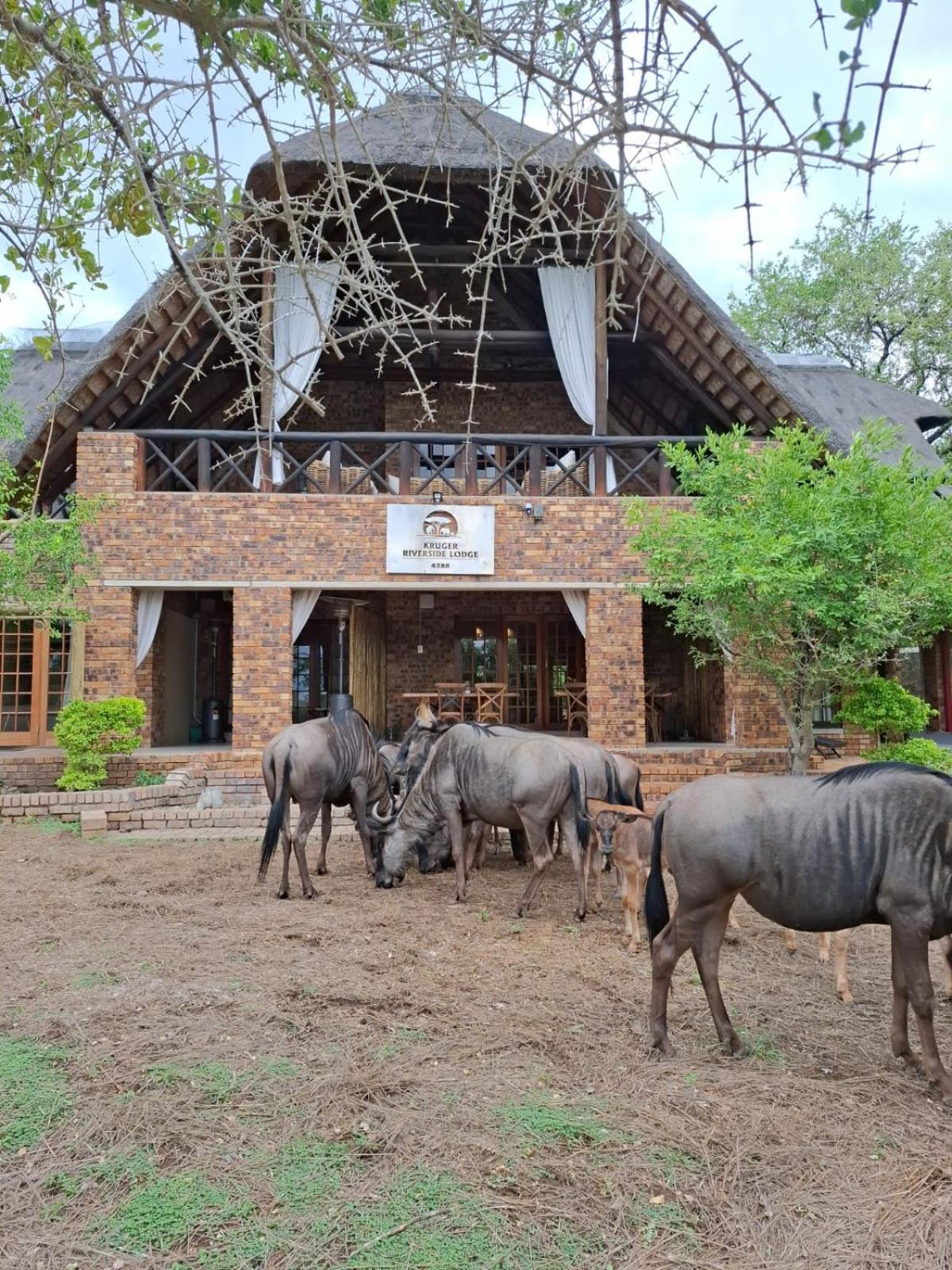 Kruger Riverside Lodge - No Load-Shedding Marloth Park Dış mekan fotoğraf