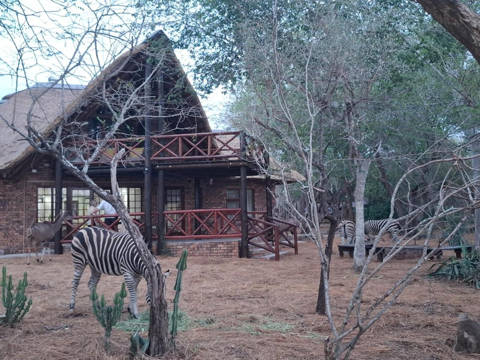 Kruger Riverside Lodge - No Load-Shedding Marloth Park Dış mekan fotoğraf