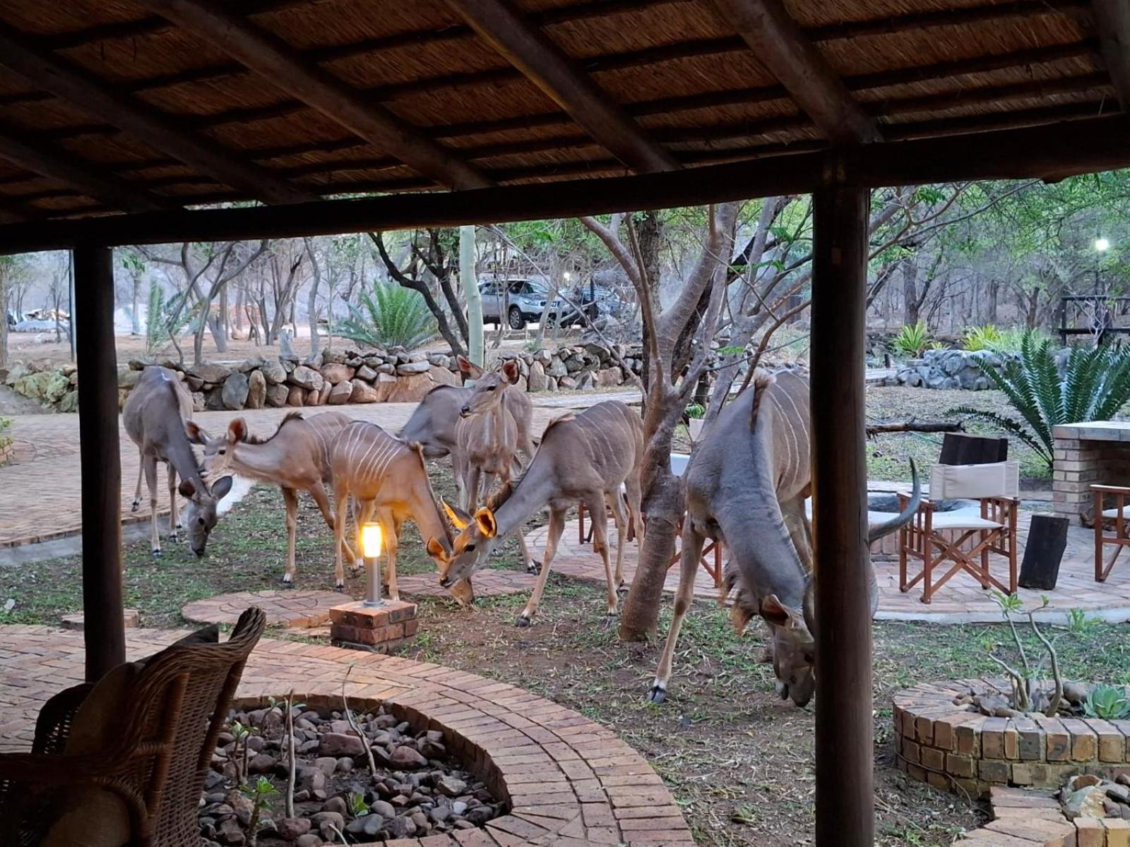 Kruger Riverside Lodge - No Load-Shedding Marloth Park Dış mekan fotoğraf