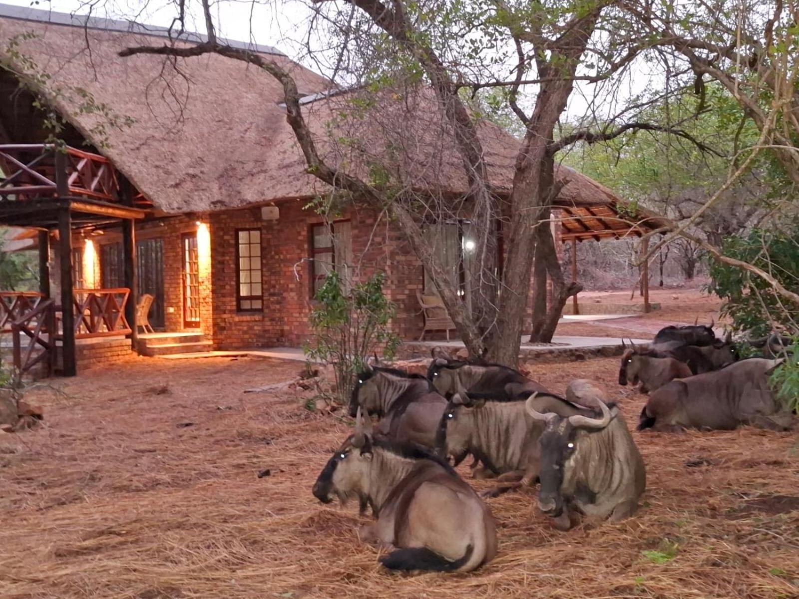 Kruger Riverside Lodge - No Load-Shedding Marloth Park Dış mekan fotoğraf