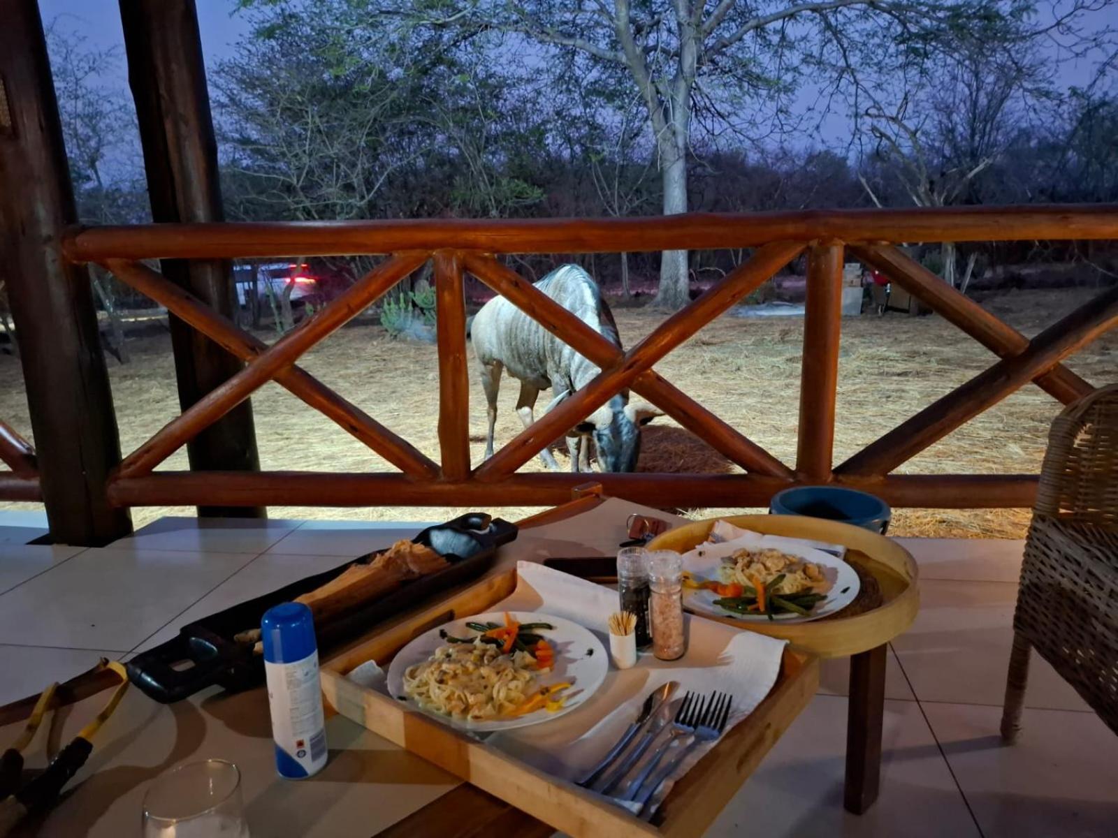 Kruger Riverside Lodge - No Load-Shedding Marloth Park Dış mekan fotoğraf